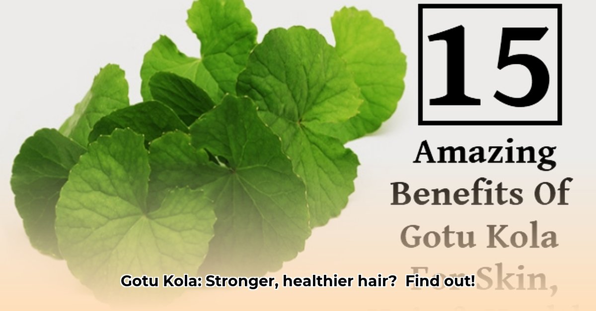 benefits-of-gotu-kola-for-hair